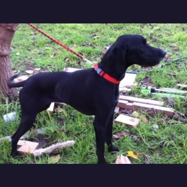 Photo of Milly