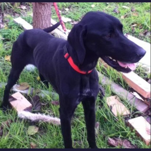 Photo of Milly