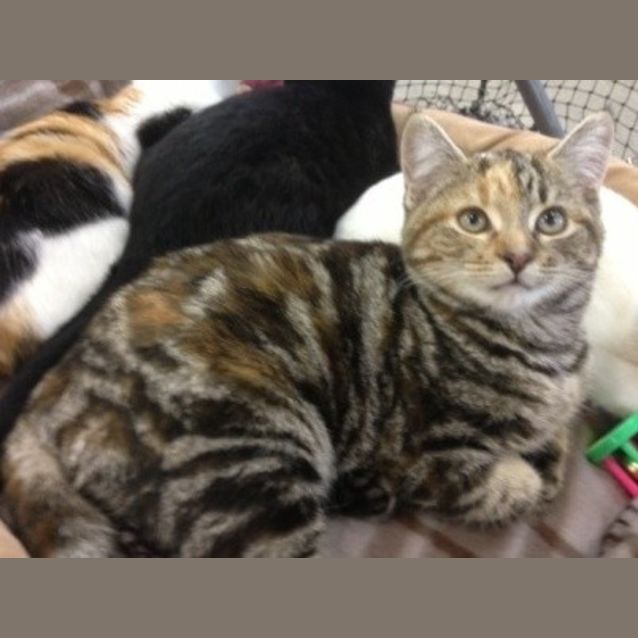 Photo of Spice