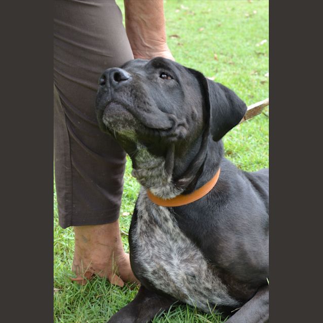 Photo of Wiggles