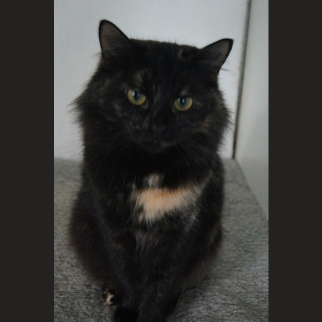 Photo of Bellatrix