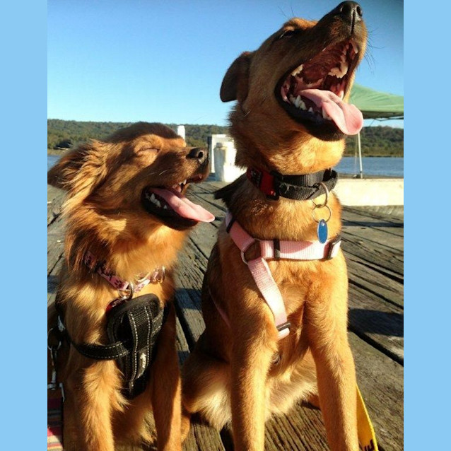 Photo of Jasper And Macy
