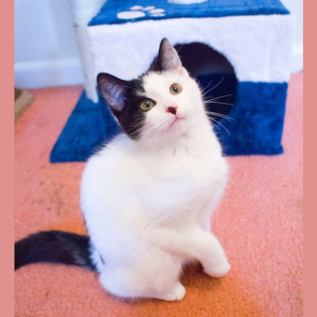 Photo of Penny