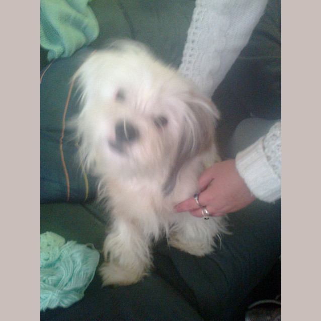Photo of Rosie