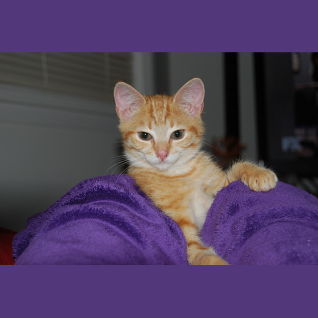 Photo of Gus