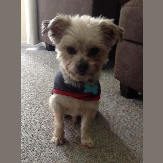 Photo of Max