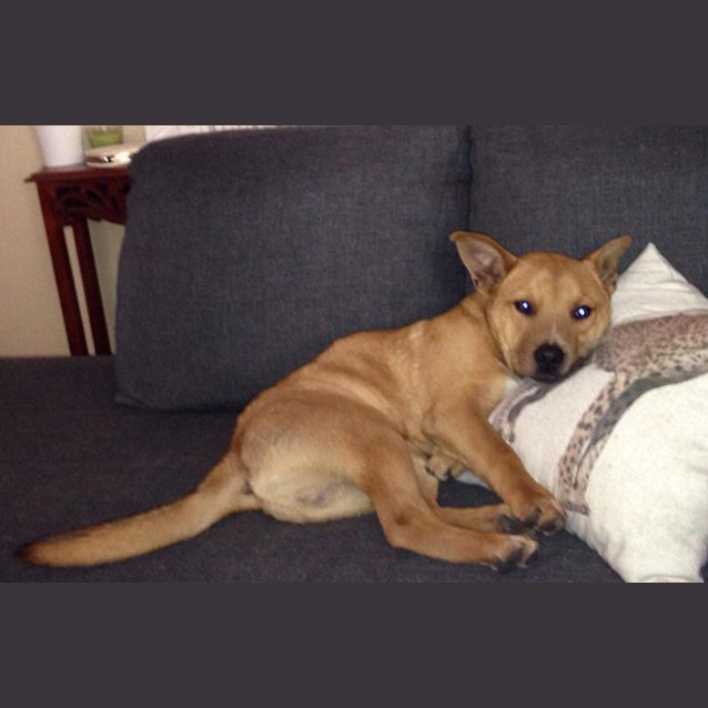 Photo of Digger