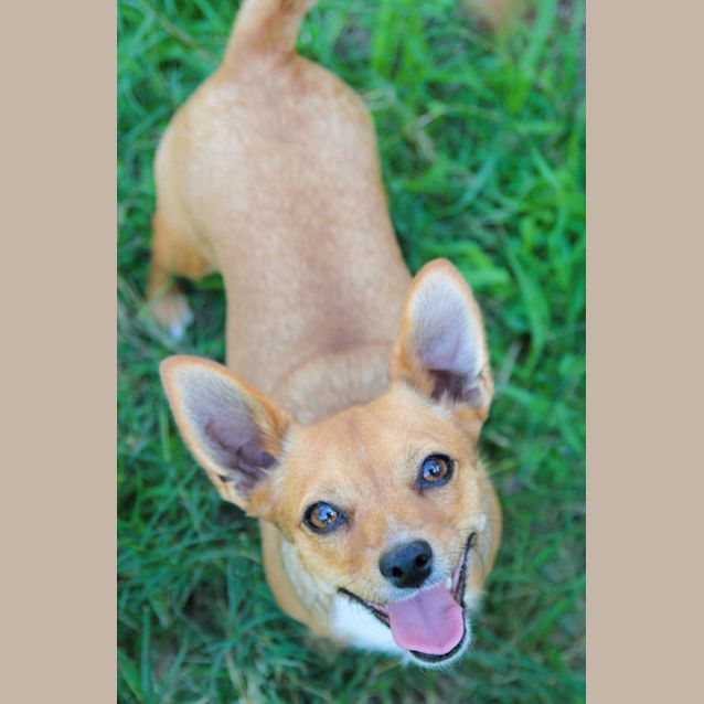 Photo of Minnie