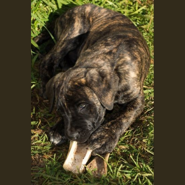 Photo of Bazza