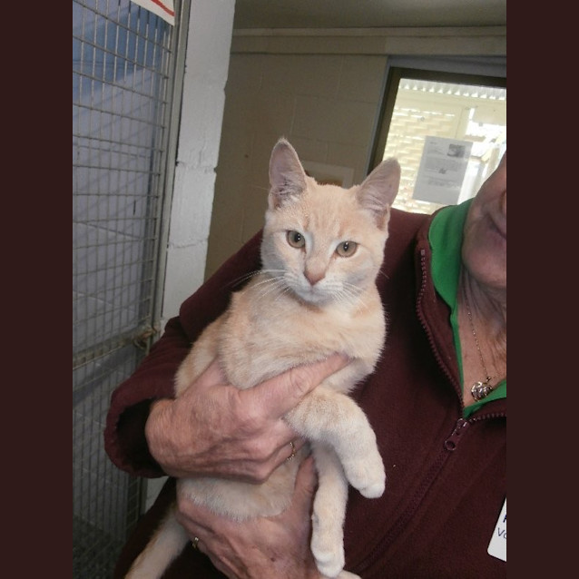 Photo of Otis