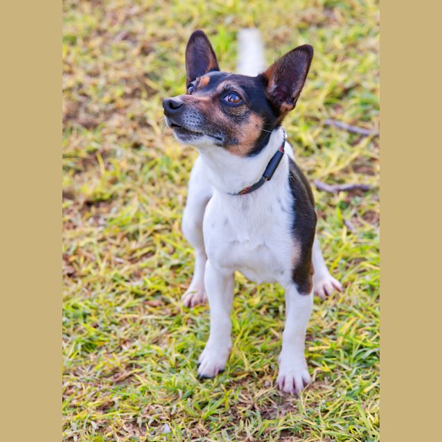 Photo of Gaws Id15431