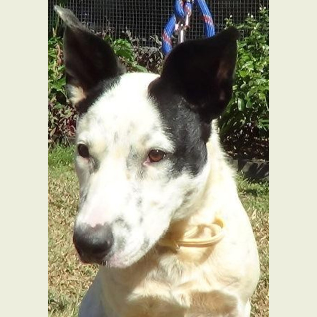 Photo of Wally