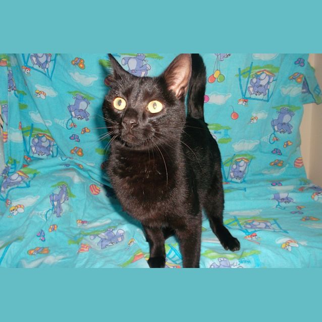 Photo of Snooki