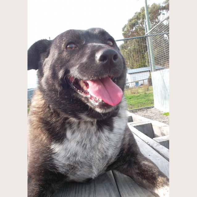 Photo of Maggie