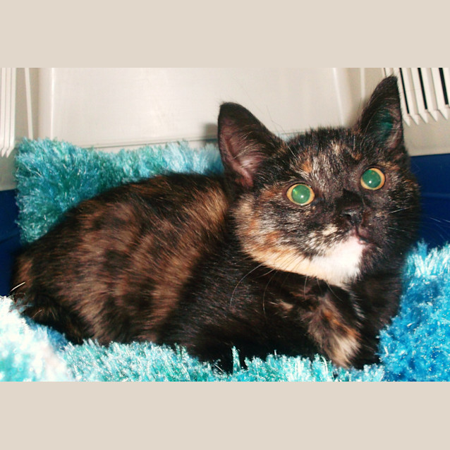 Photo of Alice