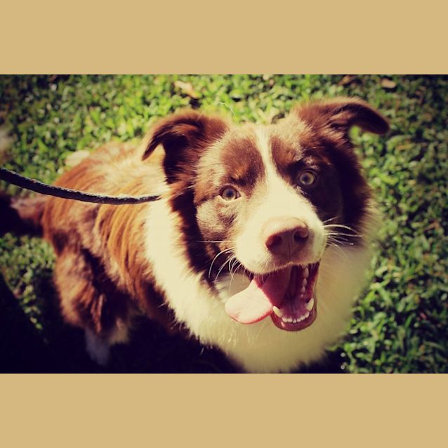 Photo of Billy