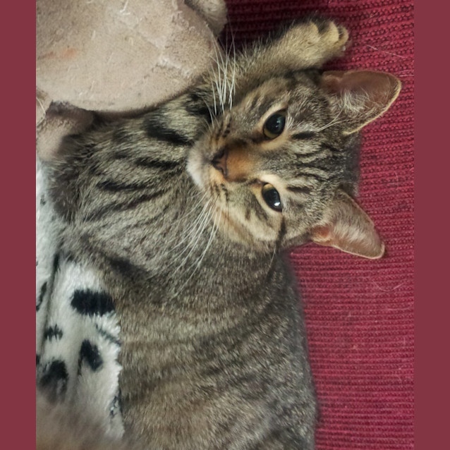 Photo of Samantha (Teenager)