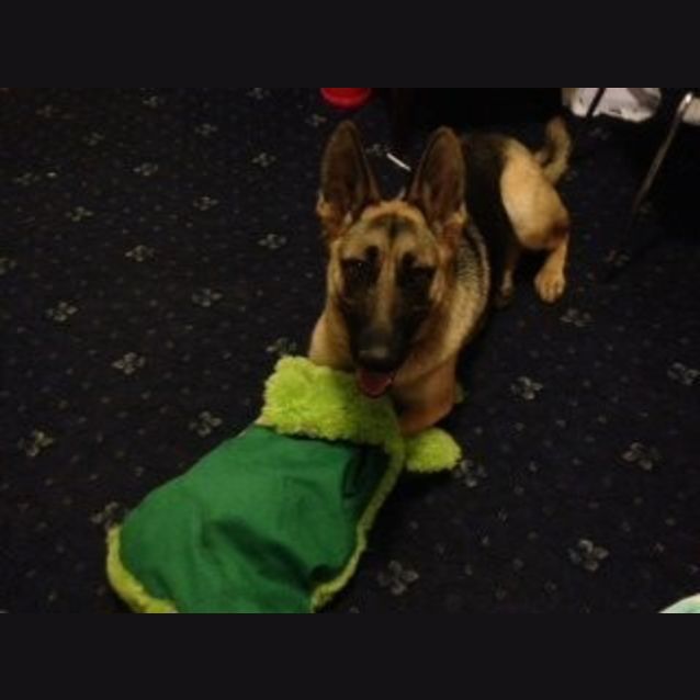 Photo of Jette