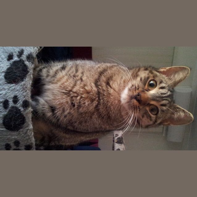 Photo of Samantha (Teenager)