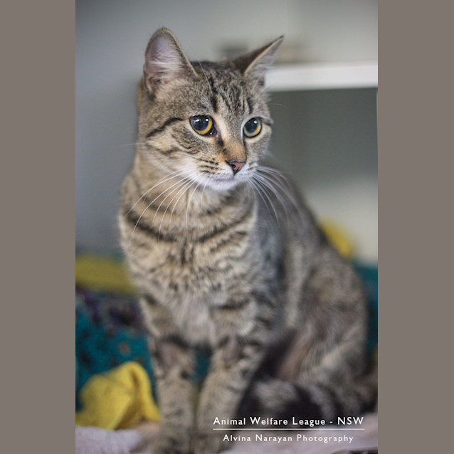 Photo of Missy