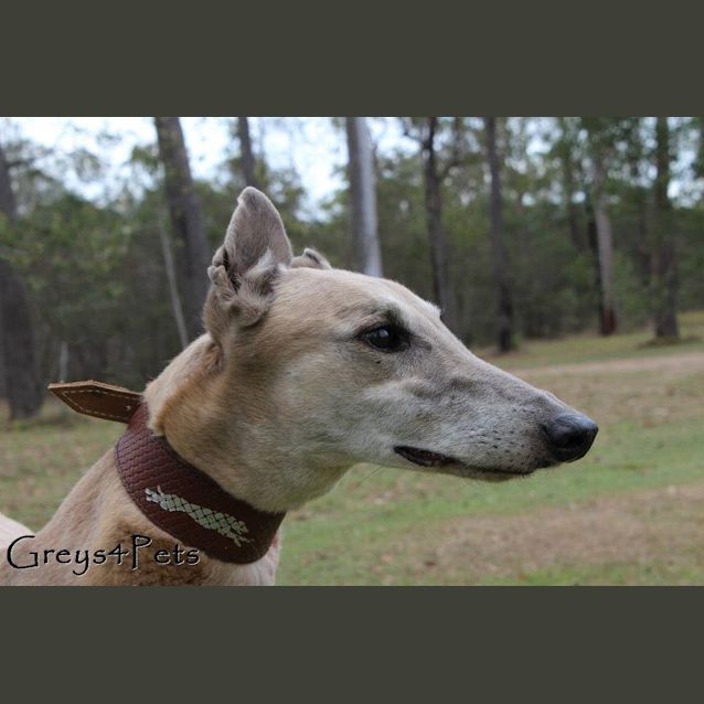Photo of Wanda