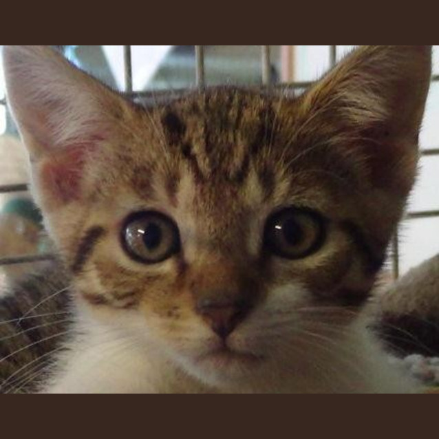Photo of Timmy
