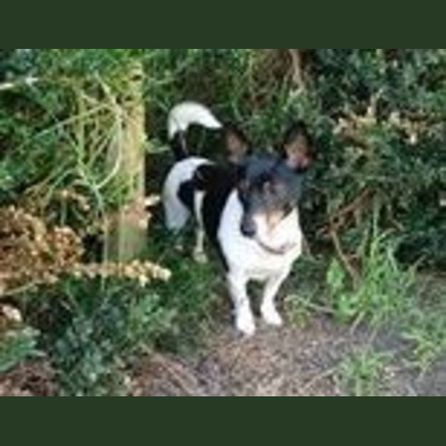 Photo of Molly