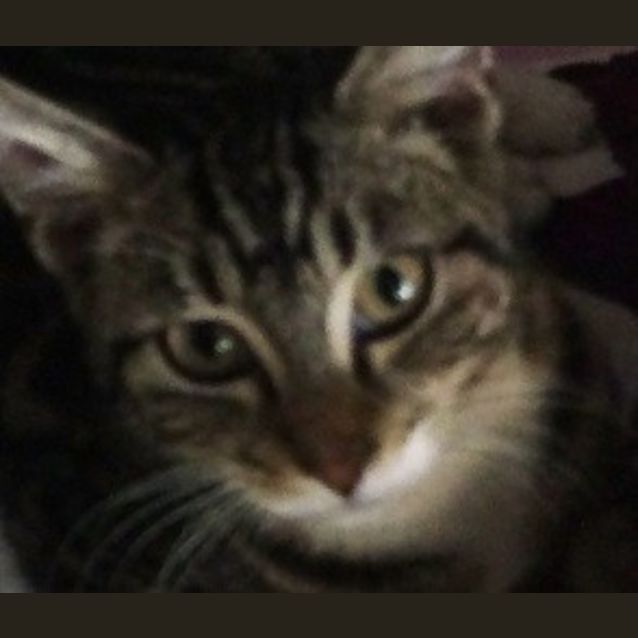 Photo of Hewi