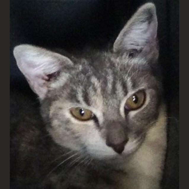 Photo of Meg
