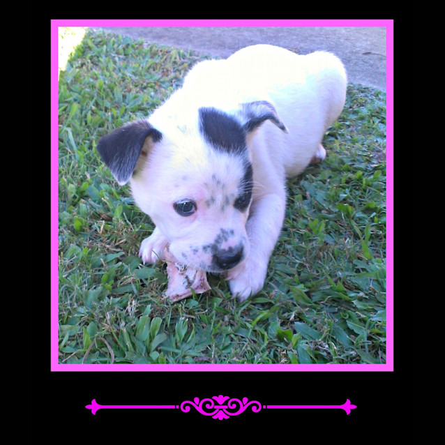 Photo of Lilliana