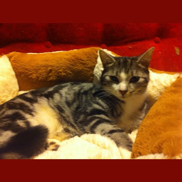 Photo of Zeus And Hades