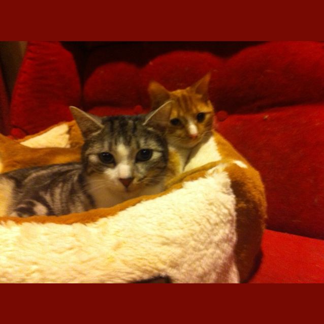 Photo of Zeus And Hades