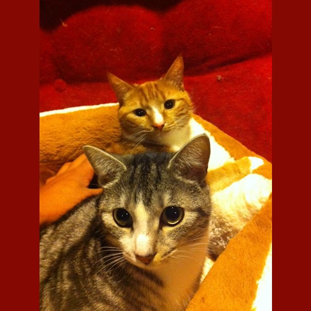 Photo of Zeus And Hades