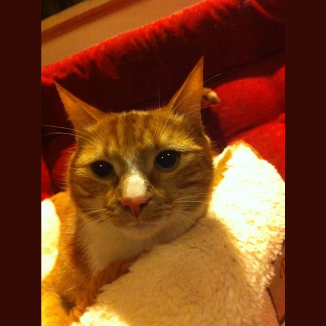 Photo of Zeus And Hades