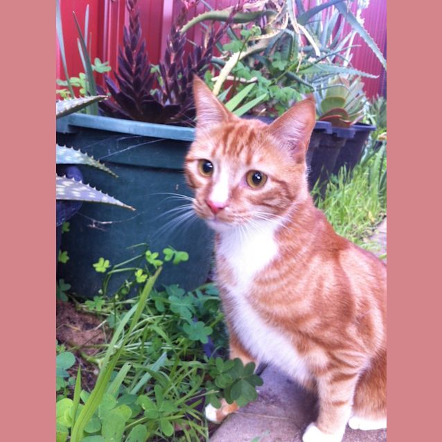 Photo of Zeus And Hades