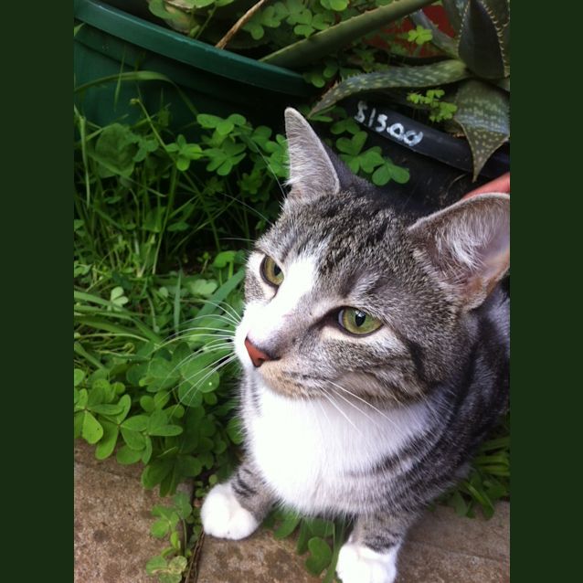 Photo of Zeus And Hades