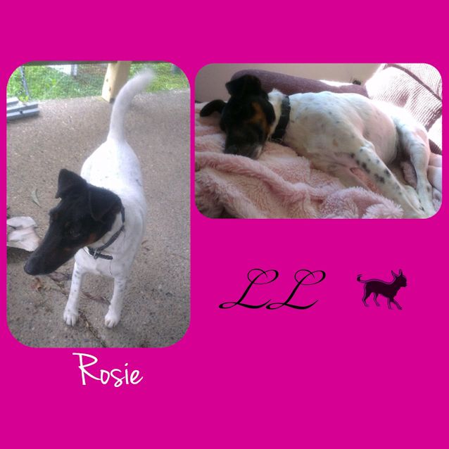 Photo of Rosy