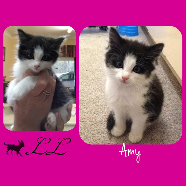Photo of Amy