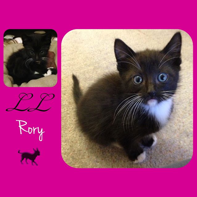 Photo of Rory