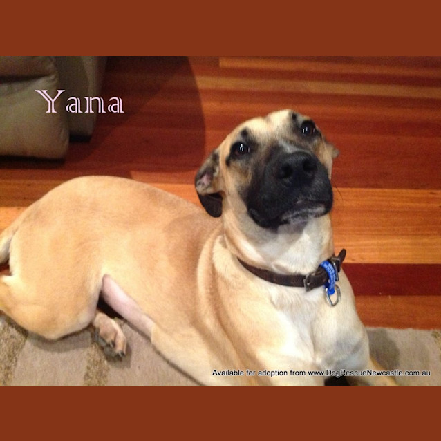 Photo of Yana (On Trial 13/7/13)