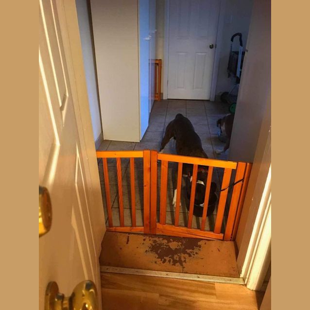 Photo of Harry And Georgie