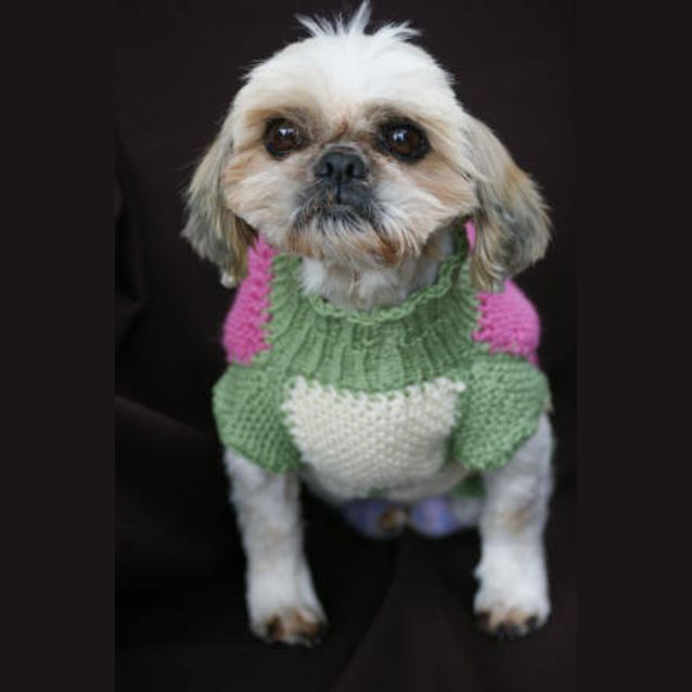 Photo of Sasha