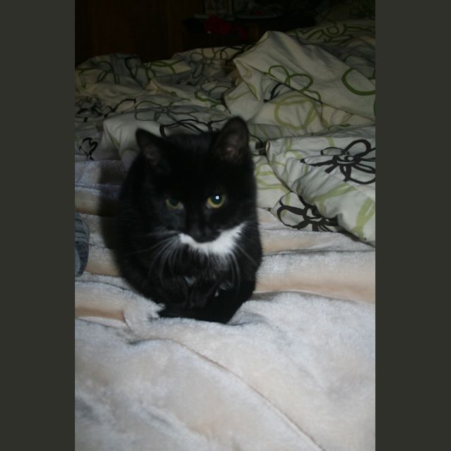 Photo of Kirri