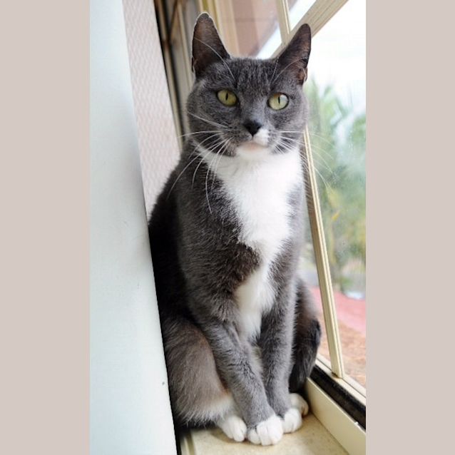 Photo of Mumma Maralyn