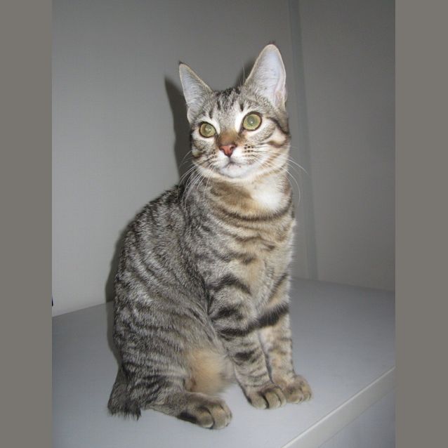 Photo of Leeloo