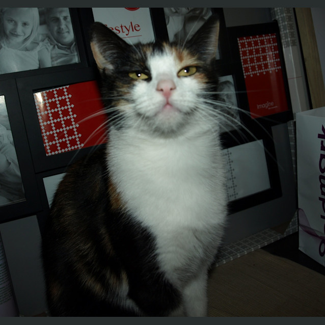 Photo of Jasmine