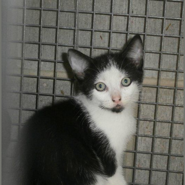 Photo of Milly
