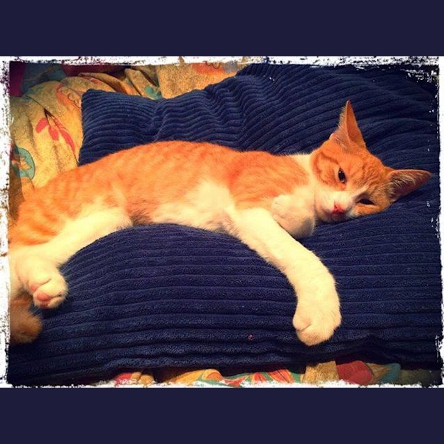 Photo of Tinka