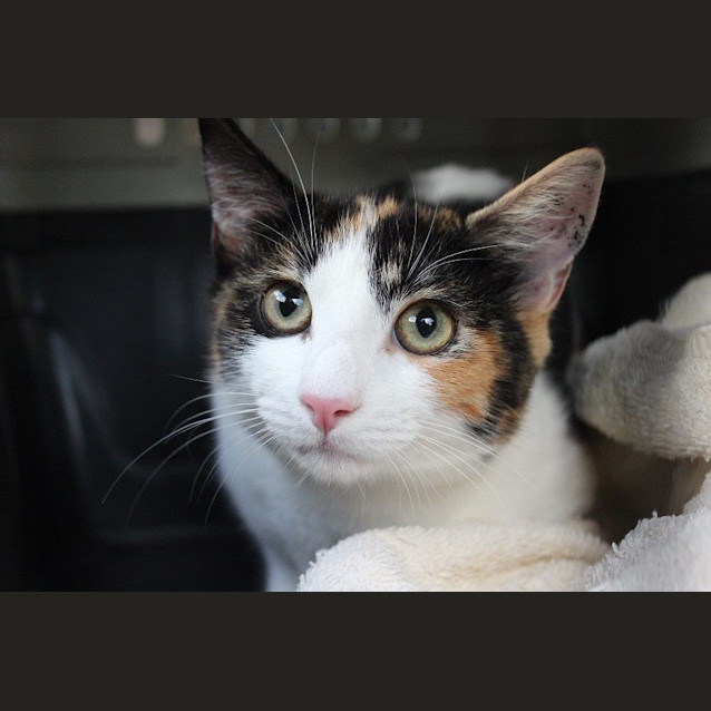Photo of Mia