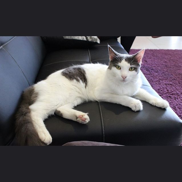 Photo of Abby